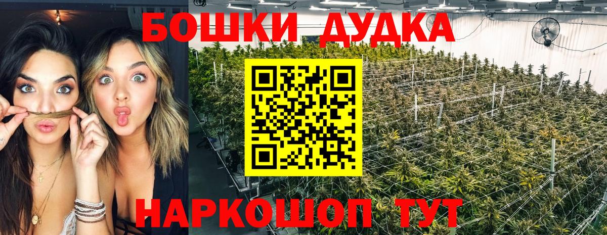 Бошки Шишки план Учалы
